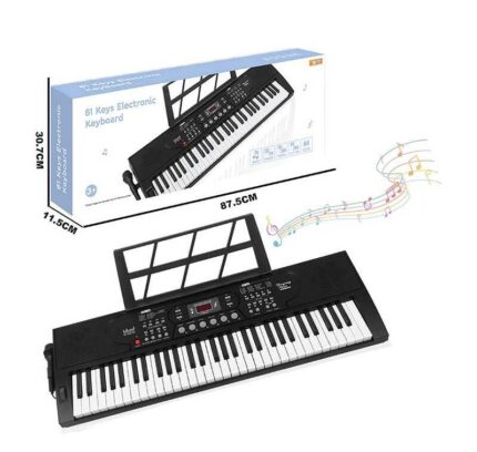 Синтезатор R 677 (5) в коробці